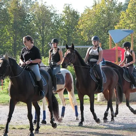 Vendégház Raroi Lovasudvar Ásványráró